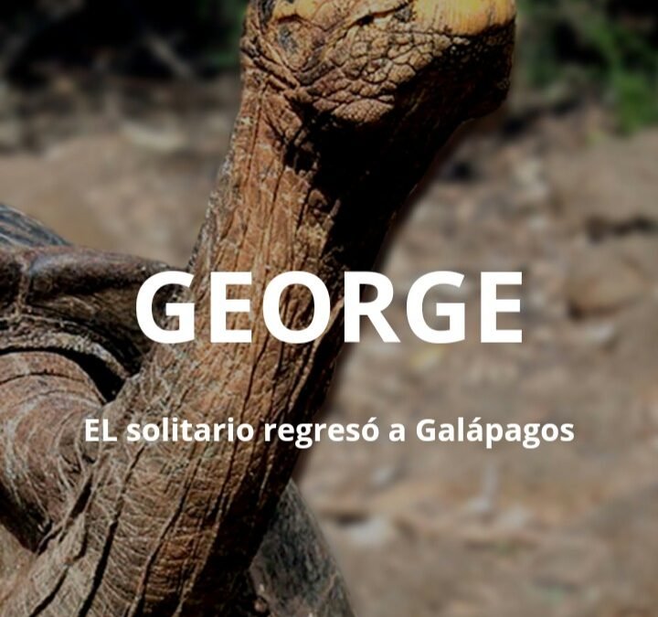 “GEORGE” EL solitario regresó a Galápagos