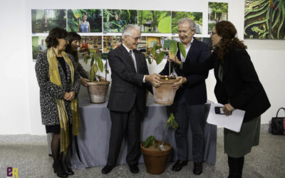 El cacao ‘fino aroma’, un regalo de Ecuador al Real Jardín Botánico-CSIC de Madrid