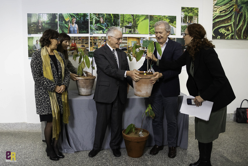El cacao ‘fino aroma’, un regalo de Ecuador al Real Jardín Botánico-CSIC de Madrid